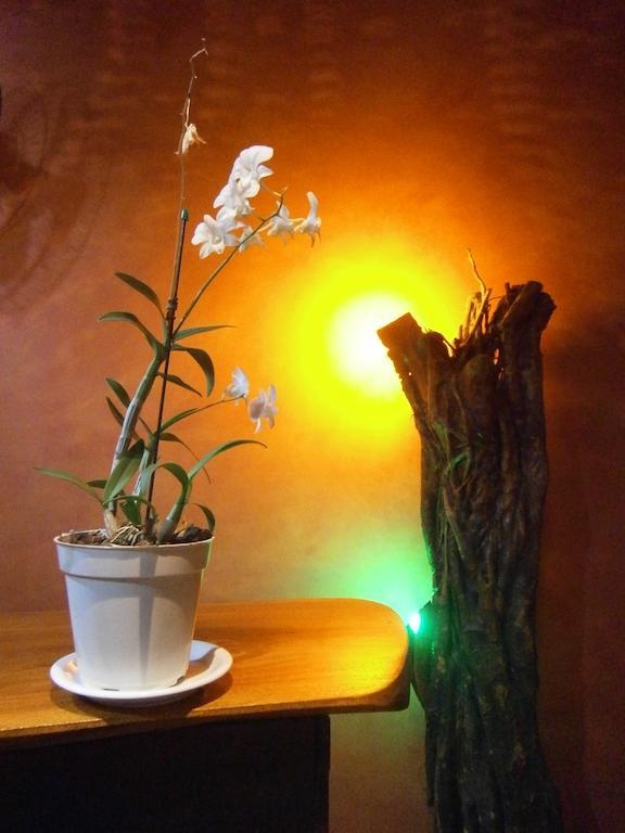 Parahyba Hostel João Pessoa 외부 사진